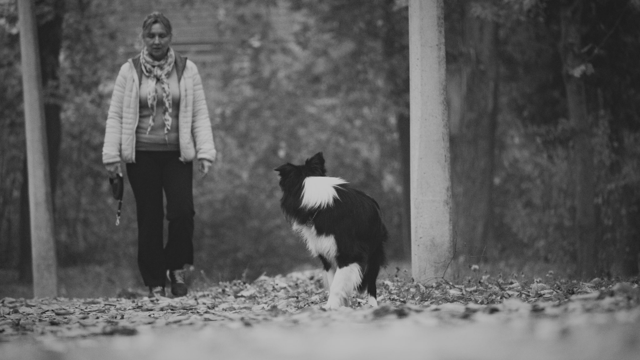 Kepkorhintaba_KutyasNenisRGB